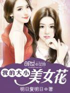 我的大小美女老婆人物介绍